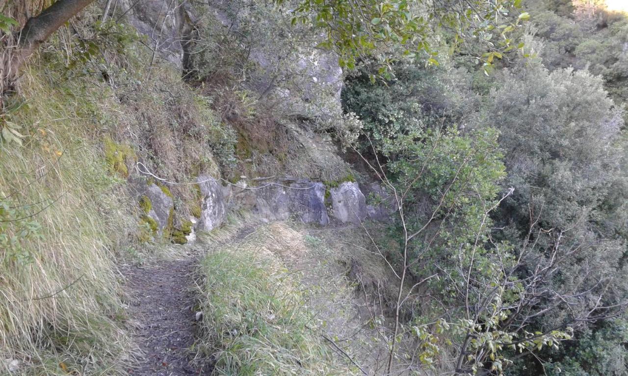 Logis Hotel Beausejour Berre-des-Alpes Εξωτερικό φωτογραφία