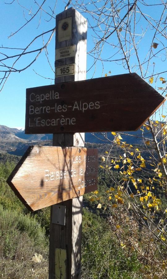 Logis Hotel Beausejour Berre-des-Alpes Εξωτερικό φωτογραφία